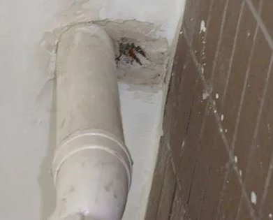 大庆漏水检测哪家好